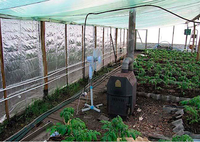 Greenhouse stove