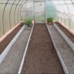 Insulation of a polycarbonate greenhouse
