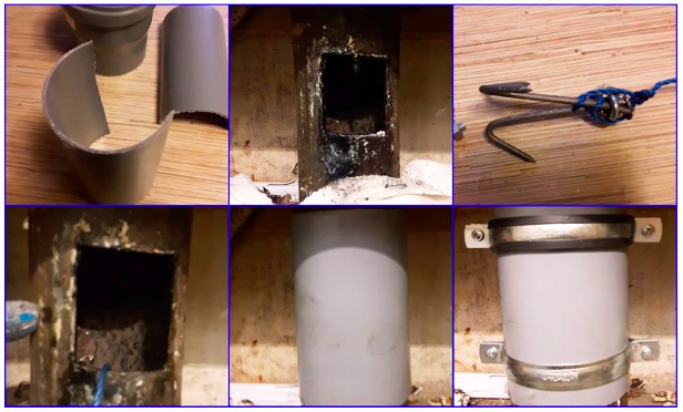 Sewer plug for debtors