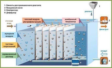 Bioreactor for wastewater treatment